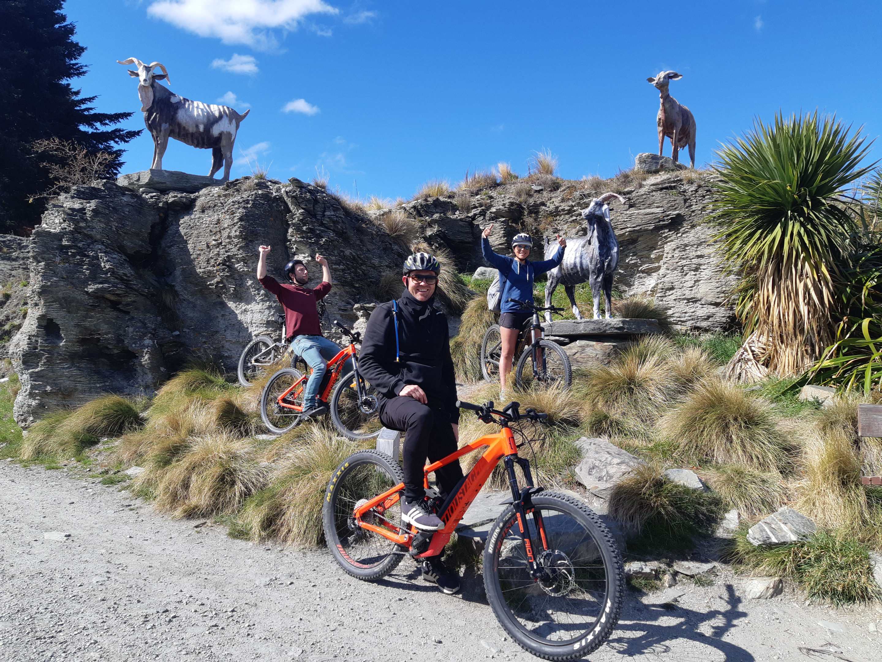 e bike tours queenstown